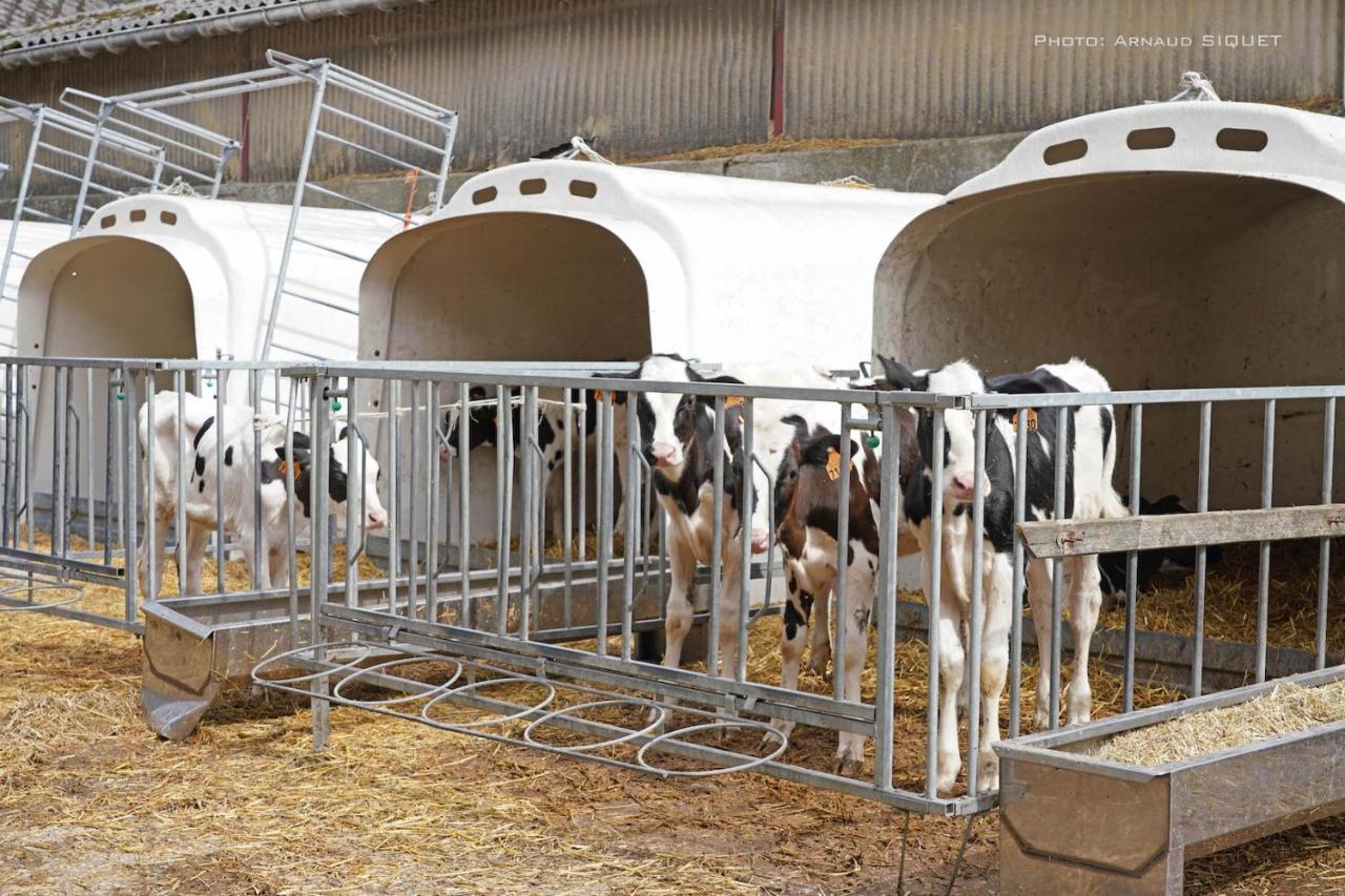 Gite Familial Ferme Des Aujes Falaen Onhaye Exterior foto